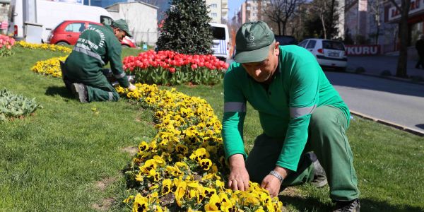 Bağcılar’da park be bahçeler kışa dayanıklı çim ve çiçeklerle donatılıyor