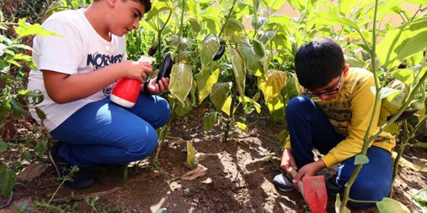 Enderunlu Öğrenciler Organik Sebze Ve Bitki Yetiştirdi
